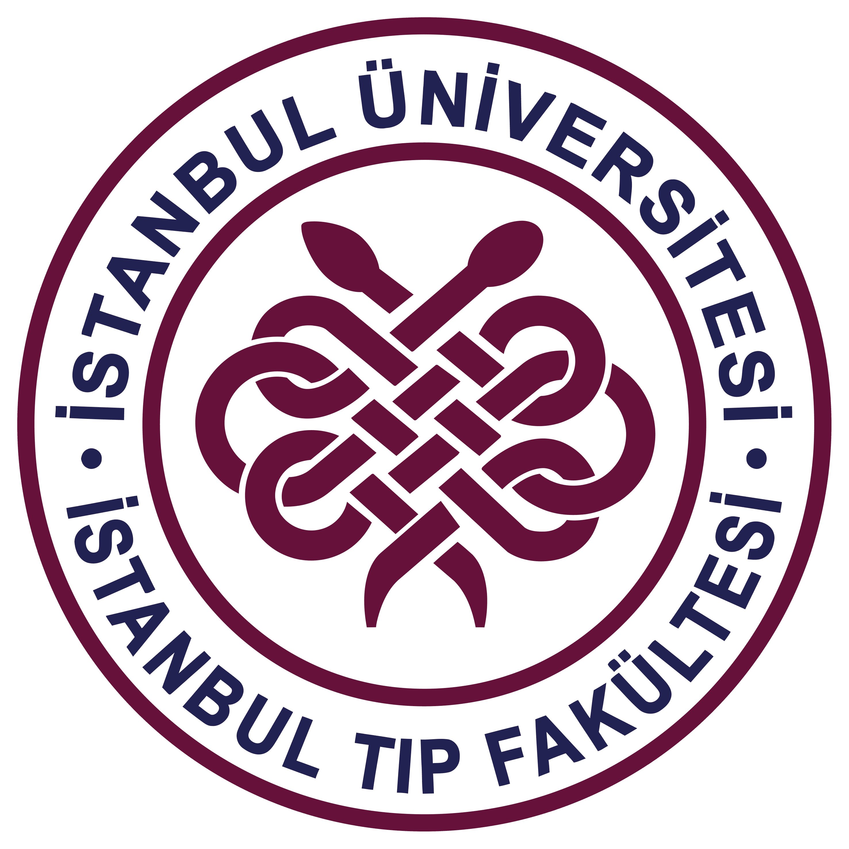 İstanbul Tıp Fakültesi